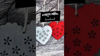 ভালোবাসা সবার বাঘগে থাকে না ইমোশনাল স্ট্যাটাস tiktok