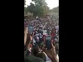 un monde fou au meeting d ousmane sonko à ziguinchor