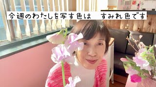 今週の色はすみれ色〜花の色彩心理