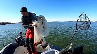 How to Throw 8’, 10’ and 12' Cast Nets **Easiest Way No Teeth.