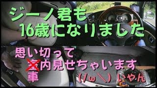 愛車紹介（車内編）16歳になったがぁと 201910【ミラジーノ・L700S・NA・5MT】