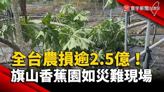 全台農損逾2.5億！旗山香蕉園如災難現場｜#寰宇新聞 @globalnewstw