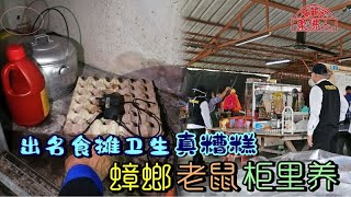 【柔佛人头条】出名食摊卫生真糟糕 蟑螂老鼠柜里养