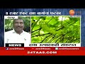 pandharpur rain updates 8 thousand acers of grape farms destroyed अवकाळीने द्राक्ष केली आंबट