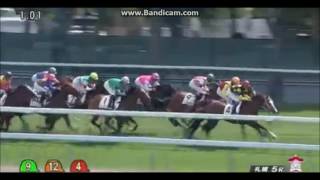 ディーマジェスティ 新馬戦