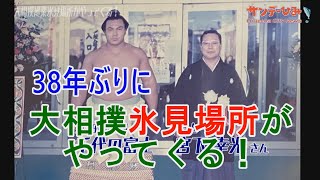 【サンデーひみ2023年6月号】38年ぶりに大相撲の巡業が氷見にやってくる！