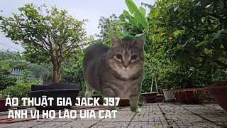 Ảo Thuật Gia JACK J97 Anh Vị Họ Lào Uia Cat