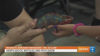 Exotic reptiles and pets coming to RMB Fairgrounds in February