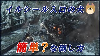 【ダークソウル3】イルシール入口の犬の簡単？な倒し方 #Shorts