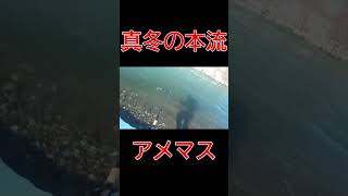 本流アメマス【真冬のアメマス】