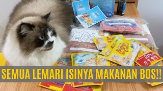 DERITA BABU, BONGKAR LEMARI KOK ISINYA CUMA MAKANAN KUCING