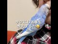 vol.214『キレのいいお返事をするインコ』お喋りインコのサクちゃん