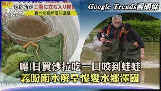 【Google Trends看頭條】噁!日買沙拉吃一口咬到蛙蛙　義盼雨水解旱慘變水鄉澤國｜TVBS新聞 2023.05.19@internationalNewsplus