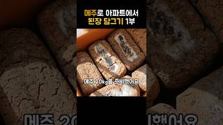 아파트에서 메주로 된장 담그는 방법 1부 #레시피 #된장 #메주