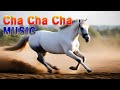 Great 200 Cha Cha Cha / Rumba / Mambo / Instrumental Music / Relaxation Space Music 2024