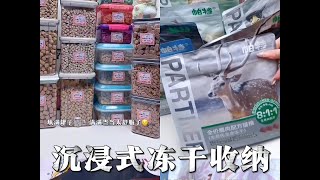 沉浸式｜填满罐子！猫咪冻干收纳