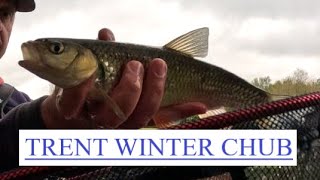 TRENT WINTER CHUB - RIVER FLOAT FISHING - RIVER TRENT - East Bridgford