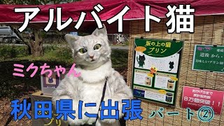 秋田県へ出張～お仕事編～