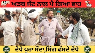 ਅੜਬ ਜੱਟ ਨਾਲ ਪੈ ਗਿਆ ਵਾਹ-Arab Jatt Naal Pia Waah#pashumandidabwali #dairyfarm