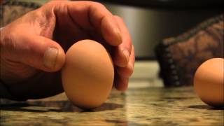 Equinox egg balance March 20, 2013