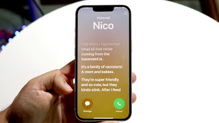 How To Use Live Voicemail On iOS 17!