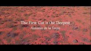 The First Cut is the Deepest - Cat Stevens cover | Antonio