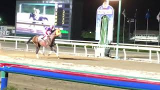 2018.8.11 船橋🐎9R エイシンターザン\u0026赤津和希騎手 返し馬