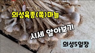 [의성마늘시세] 2일, 7일 의성5일장 마늘전 오세요 오셔   ~~~ 마늘 장터