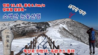 최강한파 소백산 눈꽃산행 / 천동 다리안 코스 / 100대명산 칼바람 / 겨울에는 핫플되는 등산코스 /