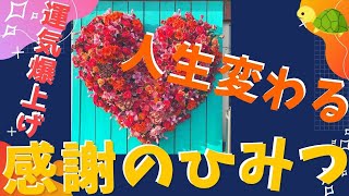 【感謝力】”ありがとう”の〇〇な価値〜今あるものに感謝すれば問題は消えるのか？〜