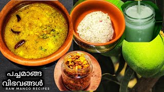 4 മാങ്ങ കൊണ്ട് നാല് വിഭവങ്ങൾ #rajaskingdom #rawmangorecipes #easyrecipes