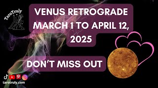 All You Need To Know For Venus Retrograde - Is Your EX Coming Back? Is Your Relationship Worth it?