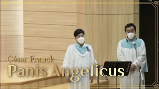 [성가곡] Panis Angelicus 생명의 양식 #Cesar Franck# #평강교회 #예배찬양 #아마추어성악 #권신중 #Tenor #Bariton  #장철유