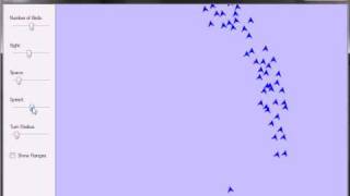 Agent Based Boids Simulation