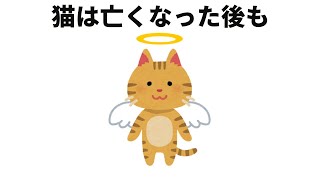 【雑学】飼い猫は亡くなったあとも【別れ】