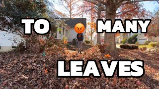 Leaves where there for 3 YEARS (satisfying yard transformation)