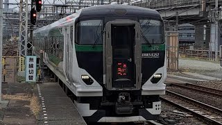 【ジョイント音最高！】E257系5500番台ｵｵOM-53編成が特急草津・四万3号長野原草津口行きとして大宮駅7番線に到着停車するシーン(3003M) 2023.4.8