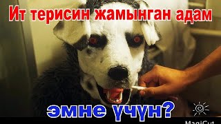 Адамдын оюна келбеген нерселерди жазады!#кино #кыргызча #кыска