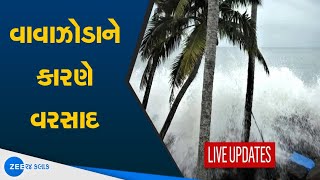 Bhavnagar ના Mahuva માં Tauktae Cyclone એ સર્જી તરાજી |Effect In Gujarat After Cyclone | Mahuva News