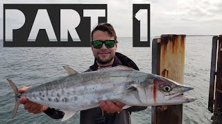 Landbased Mackerel SEQ Part 1 - Australian Fishing