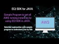 AWS SDK for JAVA | How to fetch instances by using SDK in JAVA