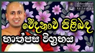 වේදනාව පිළිබඳ හාත්පස විග්‍රහය | Ven Kotmale Kumara Kassapa Thero | අතිපූජ්‍ය කොත්මලේ කුමාර කස්සපහිමි