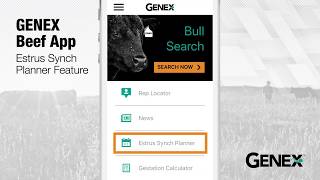 GENEX Beef App Estrus Synch Planner Feature