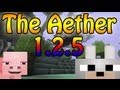 Minecraft Mods - Aether 1.2.5 Pre-Release 1.9 Mod Review and Tutorial ( It's Back! )