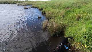 Binevenagh Forest, Mountain Top Lake \u0026 walk County Londonderry 25th June 2022