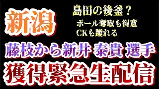 【ゲリラ生配信】アルビレックス新潟に藤枝MYFCから新井泰貴選手の完全移籍加入が決定【アルビレックス新潟/albirex/新井泰貴】