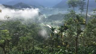 雲霧繚繞