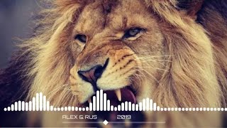 ALEX & RUS ДИКАЯ ЛЬВИЦА Music version HD mp3 | Furkan soysal