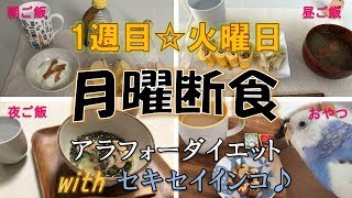 １週目火曜日【アラフォーダイエット】月曜断食とスクワットチャレンジ【with セキセイインコ】