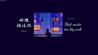 《Vietsub+Pinyin》好想抱住你 - 程jiajia || Thật muốn ôm lấy anh - Trình Giai Giai